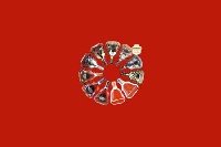 三元回收红酒